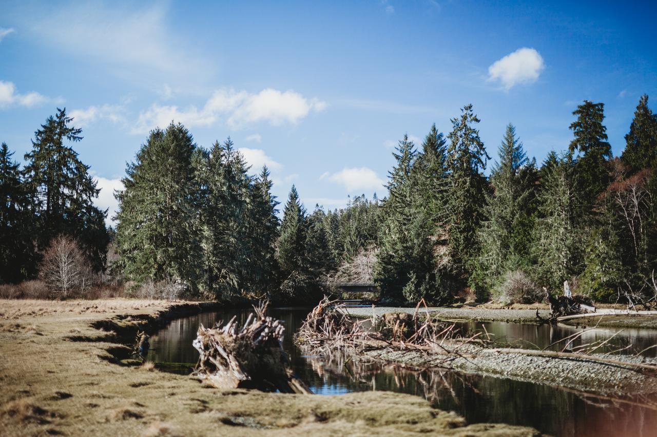 Port Hardy Cabins Zewnętrze zdjęcie